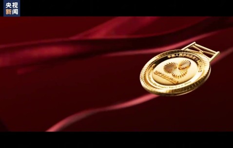 全运会奖牌发布名为“同心跃”，缎带图案采用三花映牡丹主题花纹